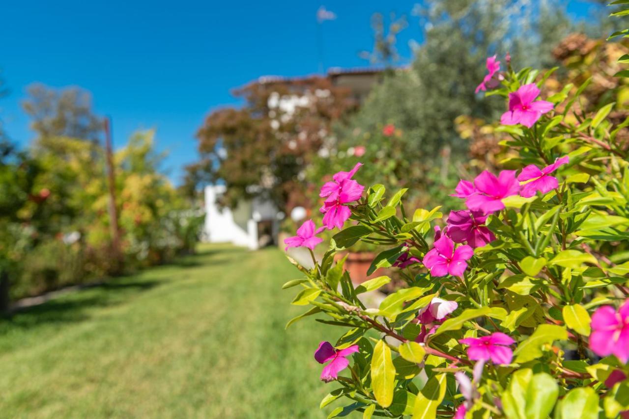 Blooming Memories Apartment Vourvourou Exterior photo